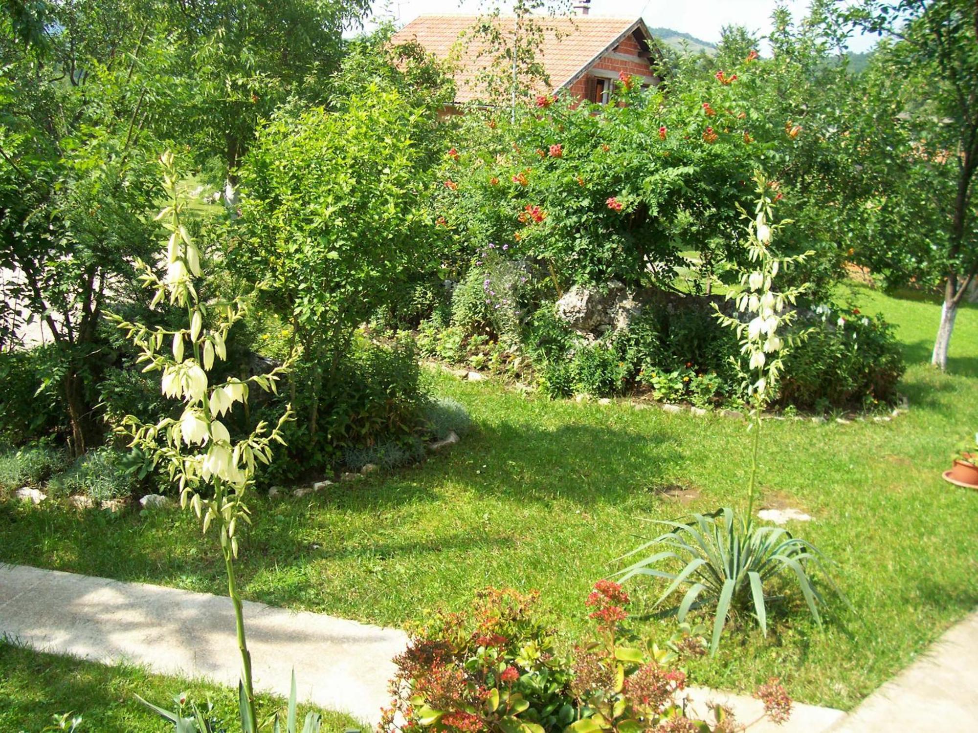 House Zlatko Casa de hóspedes Seliste Dreznicko Exterior foto